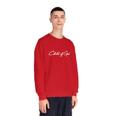 Classic Design Men's NuBlend® Crewneck Sweatshirt